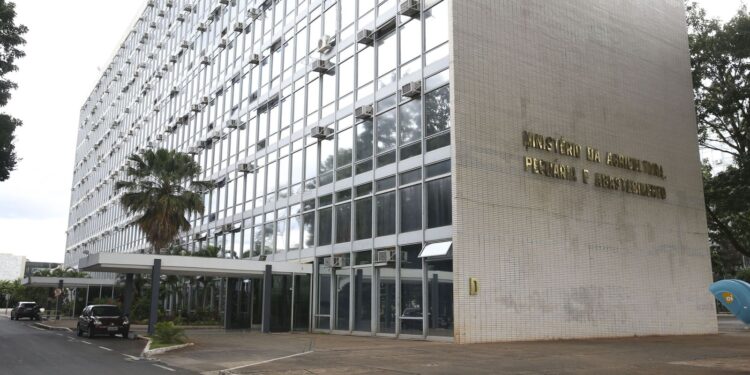 brasil-tem-primeiro-caso-de-influenza-aviaria-em-aves-domesticas