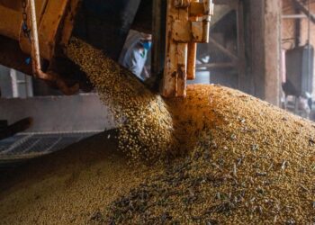 ipea-revisa-crescimento-do-pib-agro-para-2023-de-11,6%-para-13,2%