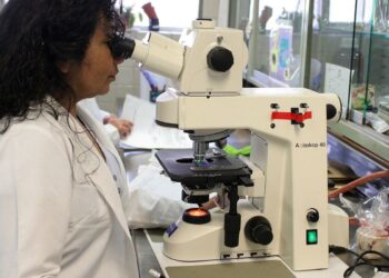 premio-chama-atencao-para-desafios-enfrentados-por-mulheres-cientistas