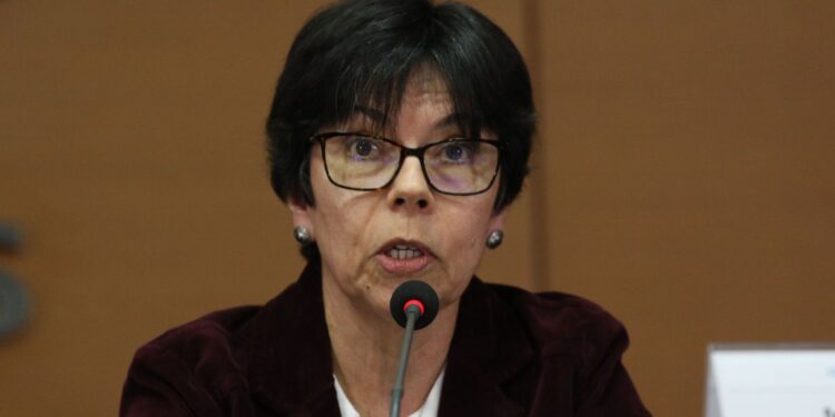 conter-desigualdade-e-formar-professores-devem-ser-prioridade-da-capes