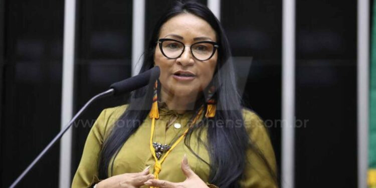 Responsabilidade com as Contas de Campanha: O Caso Silvia Waiãpi